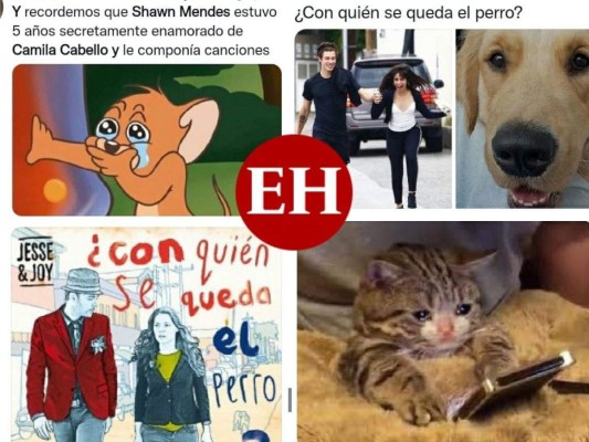 ¿Con quién se queda el perro? Los memes que dejó la separación de Camila Cabello y Shawn Mendes