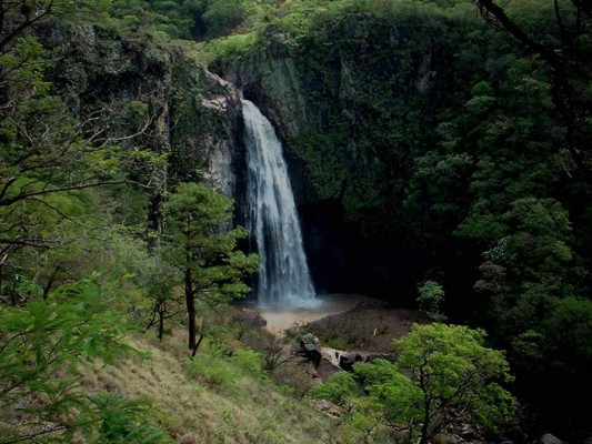 Biósfera de San Marcos de Colón y su cautivadora belleza natural que adorna Honduras