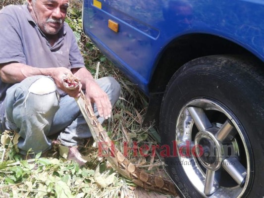 FOTOS: Así quedó bus tras caer a orilla de río en la colonia Loarque