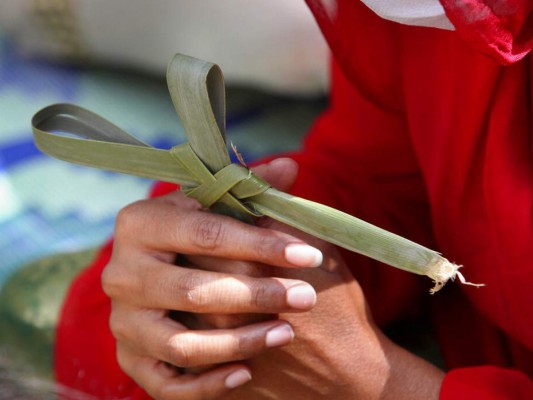 Cristianismo conmemora el Domingo de Ramos en el mundo (FOTOS)