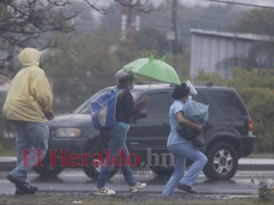 Imágenes de la fuerte lluvia que sorprendió este miércoles a los capitalinos