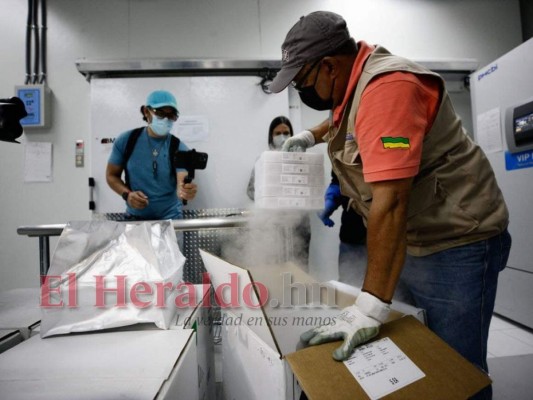 Honduras: Así fue la recepción de las 42,120 dosis de vacunas Pfizer (FOTOS)