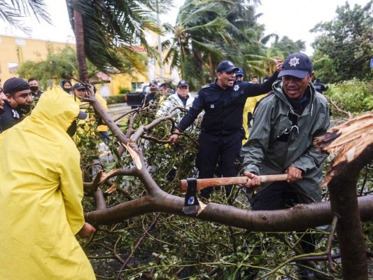 Árboles caídos, negocios destruidos y calles sin acceso: el impacto del huracán Delta