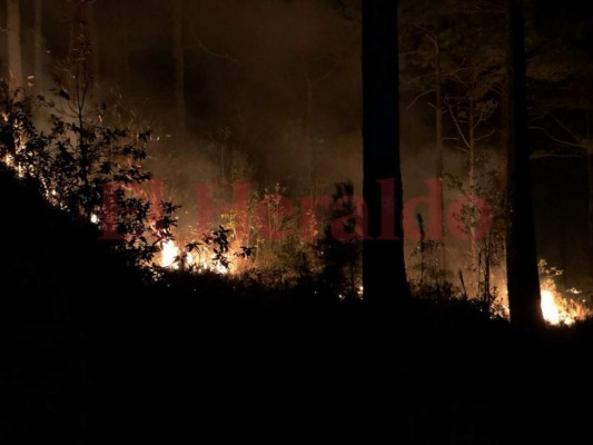 Imágenes del voraz incendio en el cerro Uyuca, salida al oriente de la capital de Honduras