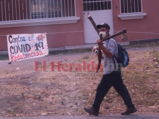 FOTOS: Desesperados por comida, hondureños bloquean carreteras y piden ayuda