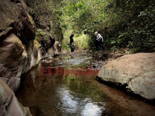 10 datos que debe conocer de la Montaña Triquilapa, el tesoro verde de la capital  