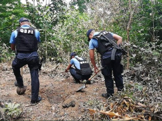 Muertes, decomisos y detenciones: sucesos que marcaron Honduras esta semana  