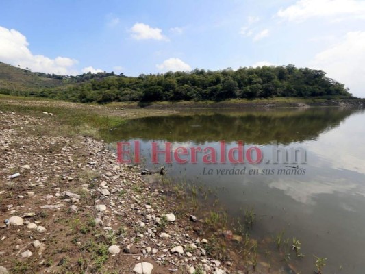 Aumenta nivel en represa Los Laureles tras lluvias: Un recorrido en fotos