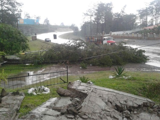 Fotos: Fuertes lluvias azotaron calles y avenidas de la capital de Honduras