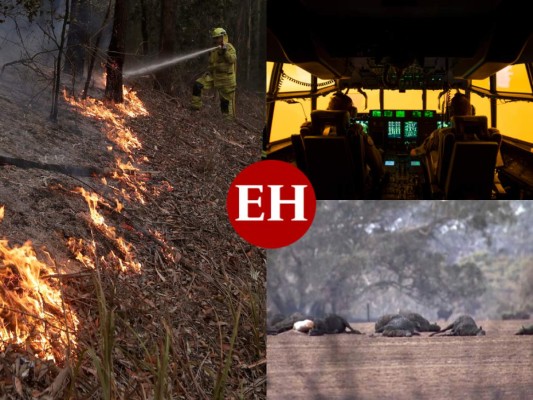 FOTOS: Devastación en Australia por incendios; prometen millones para recuperarse