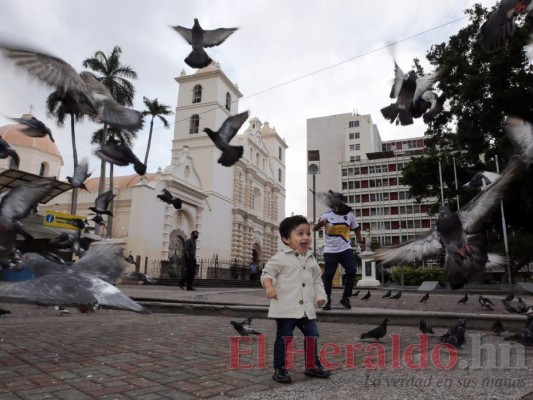 Entre sonrisas, trabajo y miradas de incertidumbre, niñez hondureña celebra su día