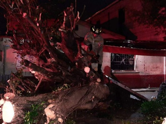 Fuertes lluvias provocan inundaciones y daños en Honduras (FOTOS)