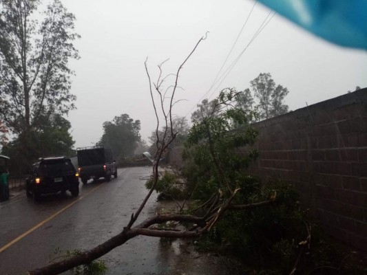 Vendaval provoca severos daños en Choluteca (Fotos)