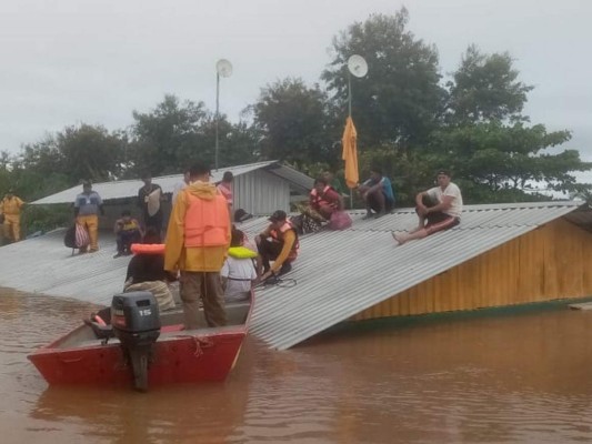 Los rostros de desesperación tras destructiva y mortal depresión Eta (FOTOS)