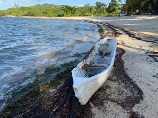 Entre cuevas, armas y comida enlatada, así vivía 'El despiadado Titi'