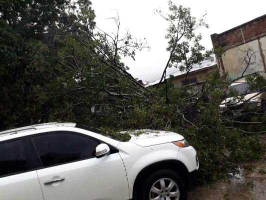 Caos e inundaciones dejan fuertes lluvias y frente frío en el norte de Honduras