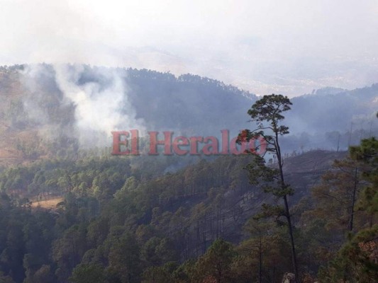 Imágenes del letal incendio que consumió el bosque en El Hatillo