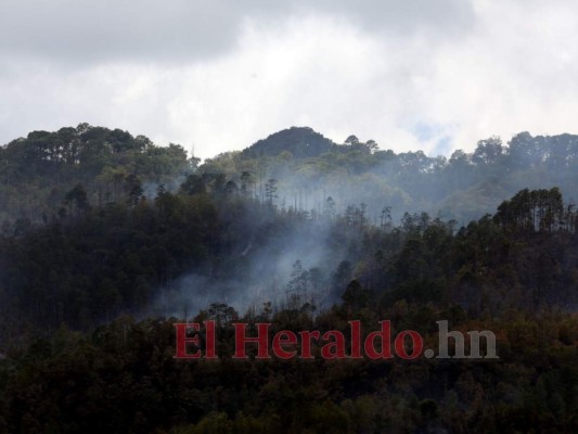 FOTOS: Así luce el cerro Upare tras voraz incendio que duró tres días