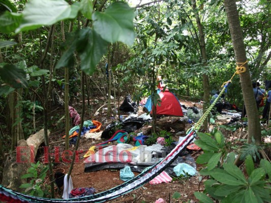 FOTOS: El campamento clandestino que tenía la Mara Salvatrucha en El Merendón