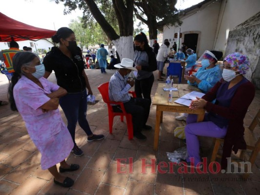 En orden y sentados, Ojojona vacuna a sus abuelitos con dosis donadas por El Salvador (FOTOS)