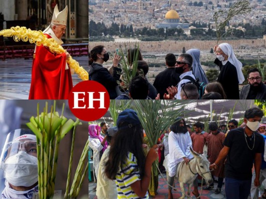 Cristianismo conmemora el Domingo de Ramos en el mundo (FOTOS)