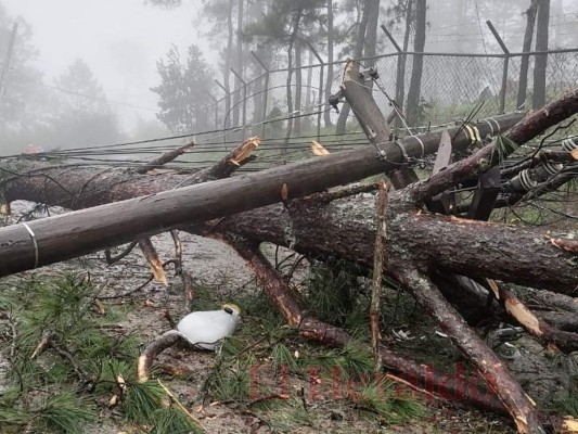 Una muerte y devastación deja la tormenta Iota a su llegada a Honduras (FOTOS)