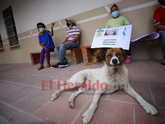 FOTOS: Con pancartas y sonrisas Ojojona recibe vacunas donadas por El Salvador  