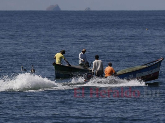 Entre el acoso de otros países y el olvido de Honduras: así trabajan los pescadores del Golfo de Fonseca