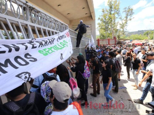 FOTOS: Así derribaron el portón principal estudiantes de la UNAH