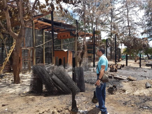 Así fue el decomiso de animales en Little French Key, Roatán