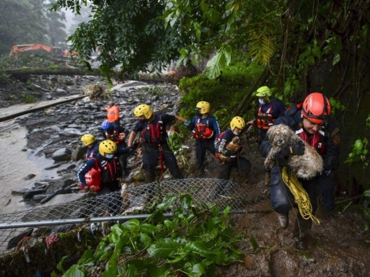 Rescate de animales: ¡Ellos también fueron salvados de la furia de Eta!