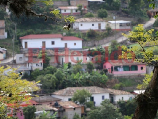 FOTOS: 10 datos que no sabías de Cedros en Francisco Morazán