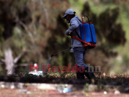 Drama de entierros sin familia y calvario en los hospitales: la lucha del covid-19 en Honduras