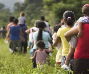 El temor de la comunidad latinoamericana incrementó tras conocer el triunfo de Donald Trump en las elecciones presidenciales de Estados...