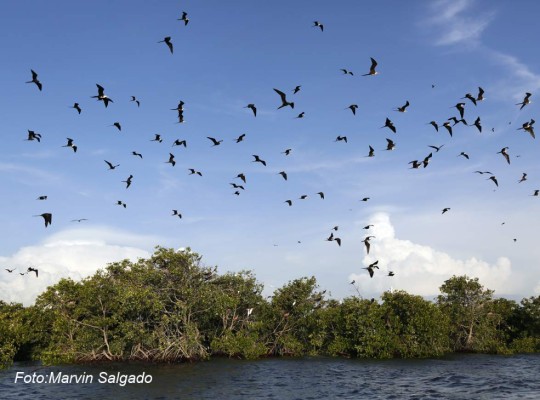 Paisajes de la Isla de los Pájaros en San Lorenzo