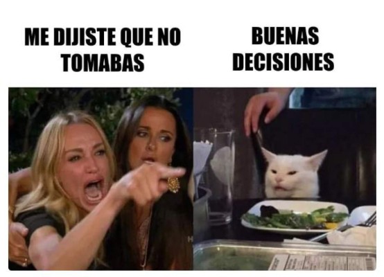 Los memes más graciosos del gato en la mesa y la mujer gritando