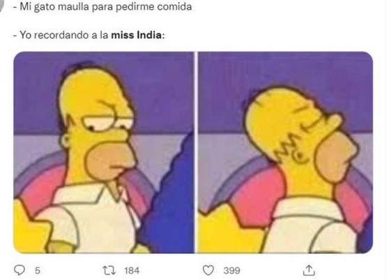 Memes que dejó el 'miau' de Harnaaz Sandhu en ceremonia de Miss Universo