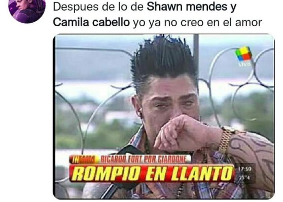 ¿Con quién se queda el perro? Los memes que dejó la separación de Camila Cabello y Shawn Mendes