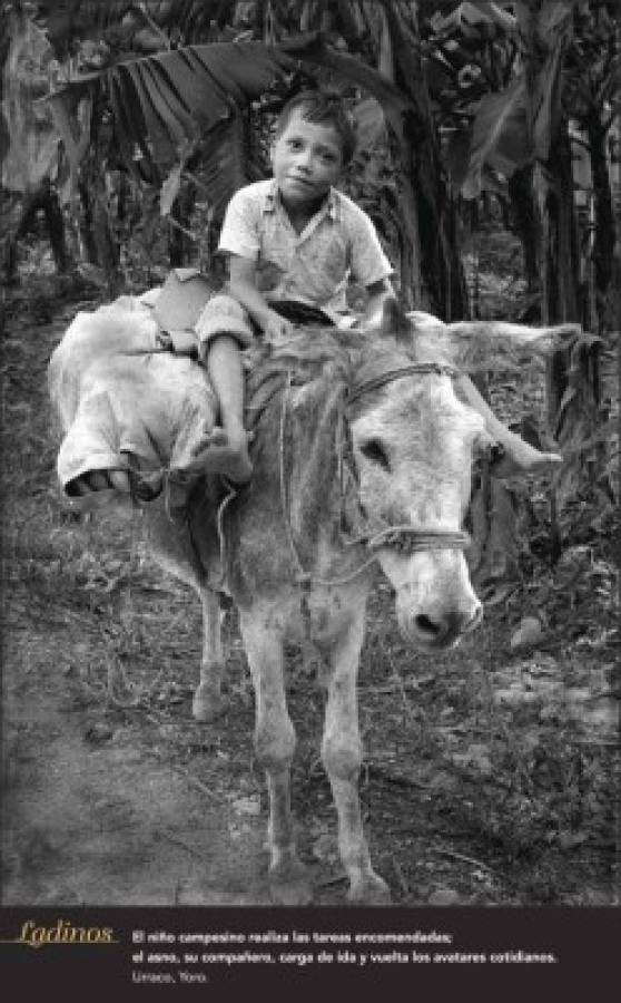 Edmundo Lobo: las honduras de la belleza y del anonimato