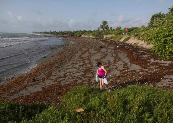 Huracán Laura amenaza costa este de EEUU y ordenan evacuaciones (FOTOS)  