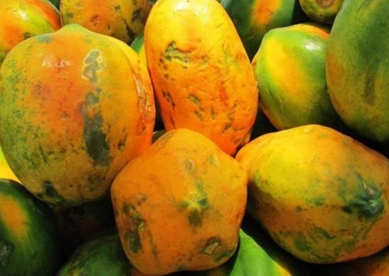 20 beneficios de la papaya y la importancia de incluirla en tu dieta