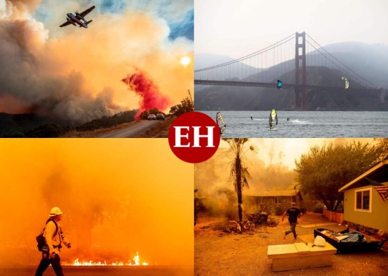 FOTOS: Muertos y miles de casas en peligro por incendios en California  