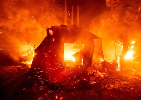 FOTOS: Muertos y miles de casas en peligro por incendios en California  