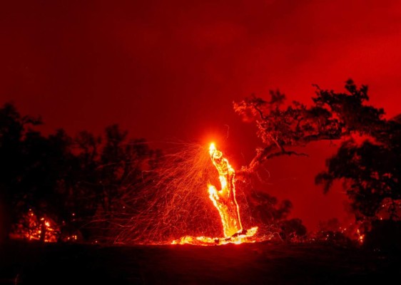 FOTOS: Muertos y miles de casas en peligro por incendios en California  