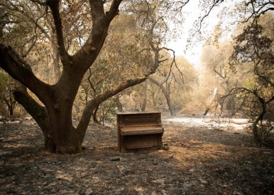 Desolación y llanto: las dramáticas fotos de los incendios en California  