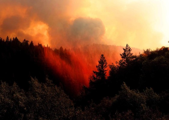 FOTOS: Muertos y miles de casas en peligro por incendios en California  