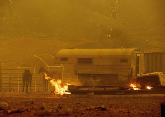 FOTOS: Muertos y miles de casas en peligro por incendios en California  