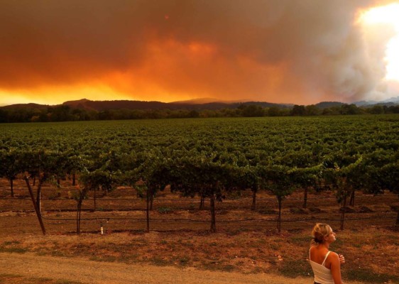 FOTOS: Muertos y miles de casas en peligro por incendios en California  