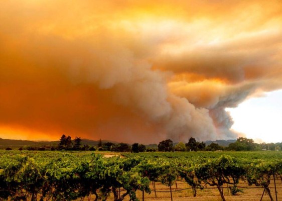 FOTOS: Muertos y miles de casas en peligro por incendios en California  