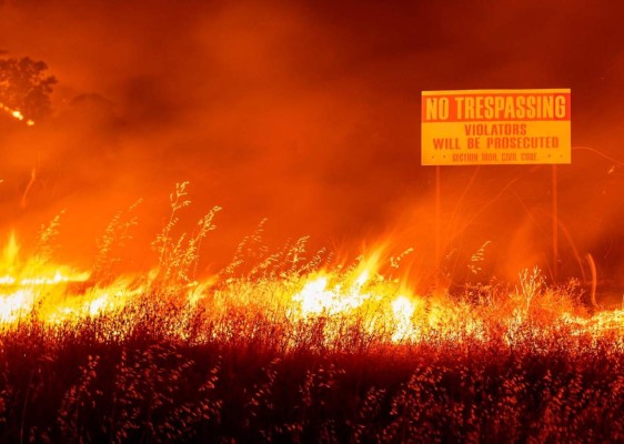 FOTOS: Muertos y miles de casas en peligro por incendios en California  